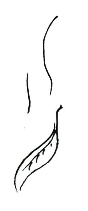 leaf
