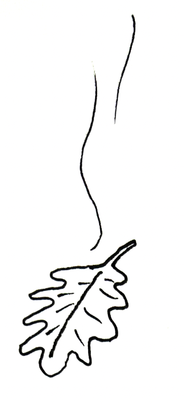leaf