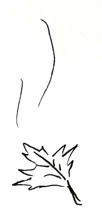 leaf