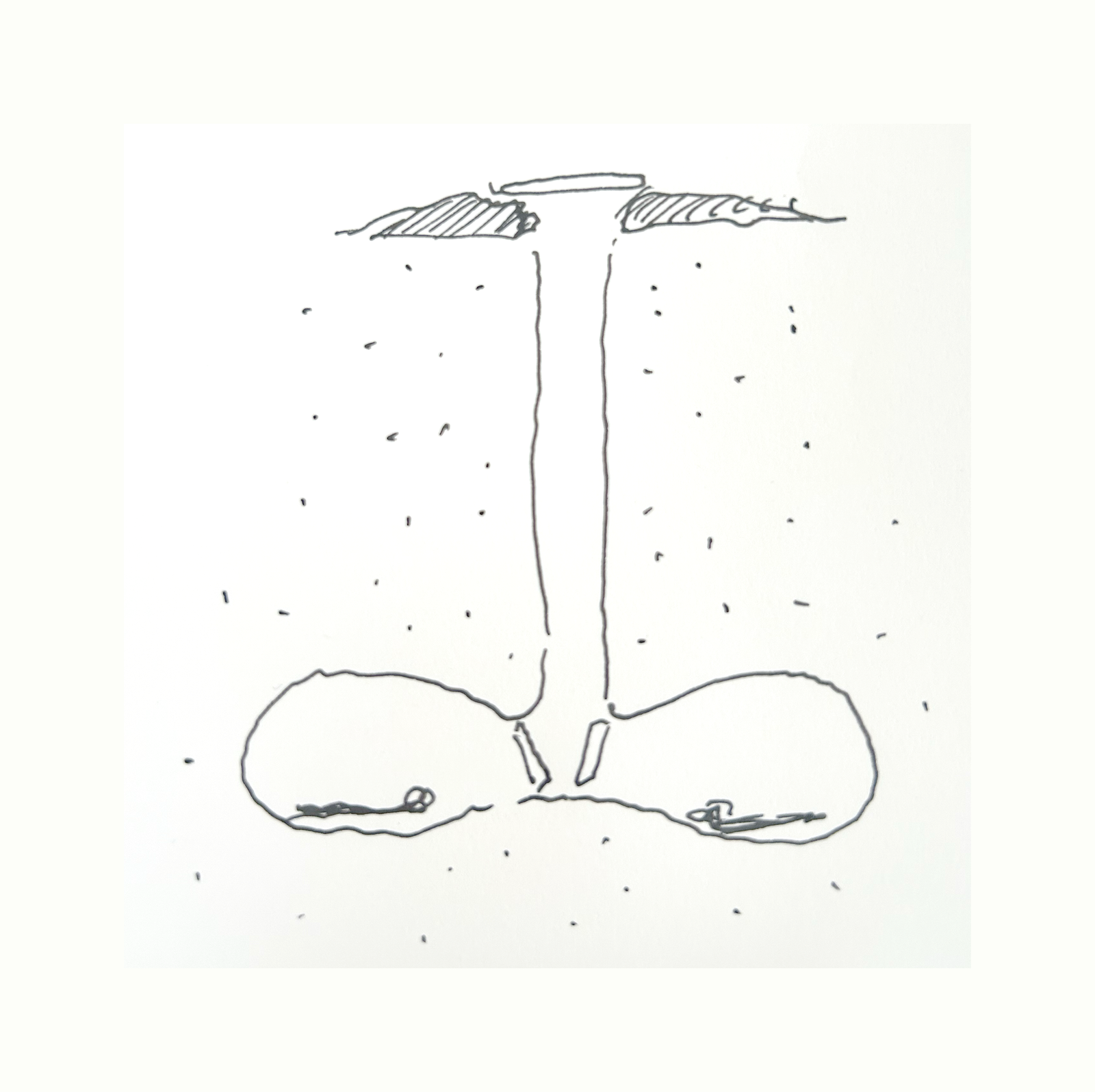 cover mockup