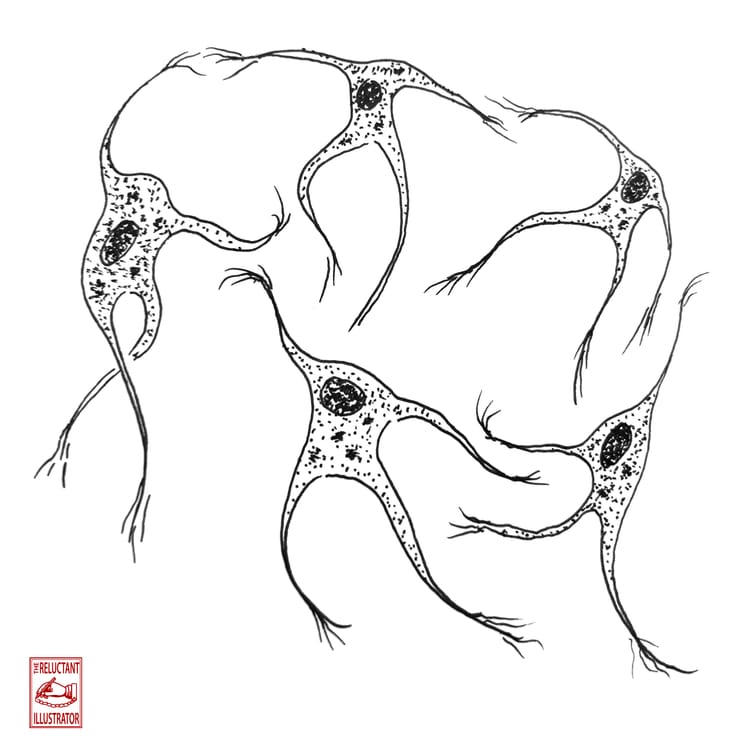 entanglement